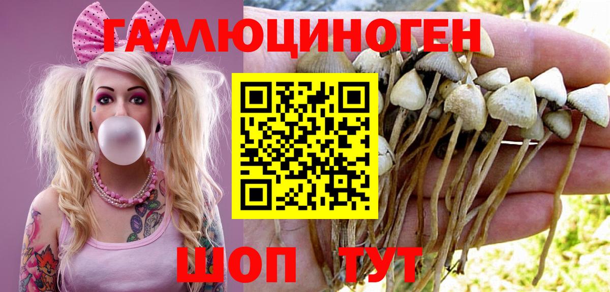 Псилоцибиновые грибы Psilocybe Асбест
