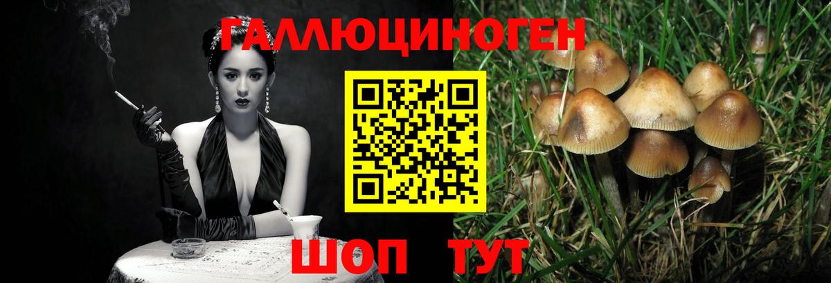 Асбест  Псилоцибиновые грибы мицелий  Вход с VPN  Псилоцибиновые грибы Psilocybe 